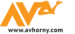 AVHorny - คลิปโป๊ไทย onlyfan เย็ดนักเรียน xxx ที่นี่รับชมฟรี